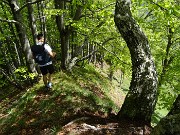 29 Betulle e faggi in Cima di Muschiada